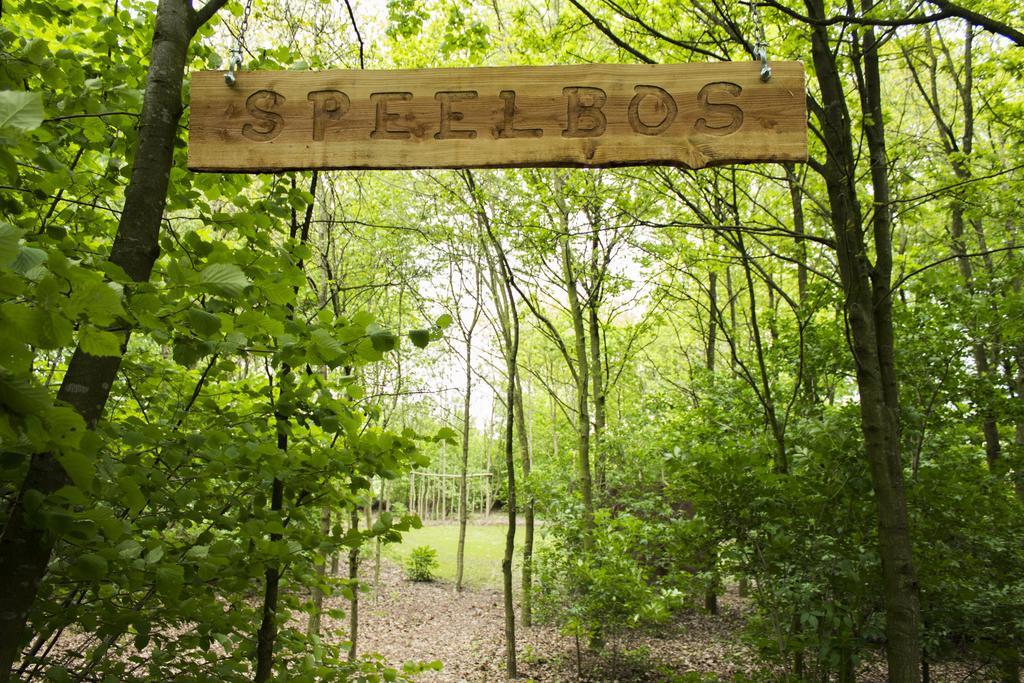 Pipowagen Camping Puur Genieten Someren Quarto foto
